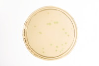 Cetrimide A -LI acc. EP 30ml 0110E-20P